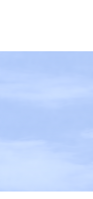 Zaunelement 297