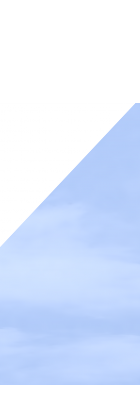 Zaunelement 299
