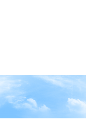 Zaunelement 57743