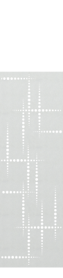 Zaunelement 61658