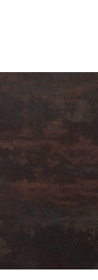 Zaunelement 60622