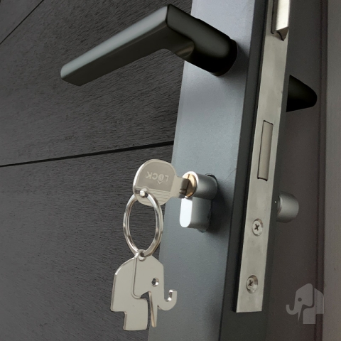 Elephant Zauntor Modular EVO 180 WPC anthrazit 90x176cm inkl. Beschlag