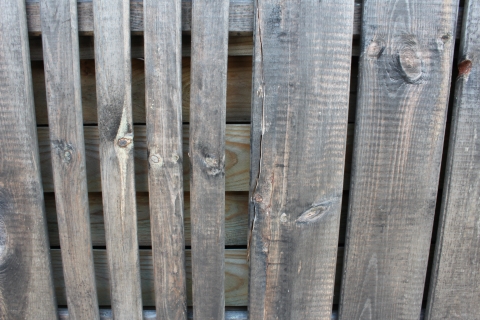 Zaun Sina 51203 Kiefer kdi grau mit Gitter 180x180cm