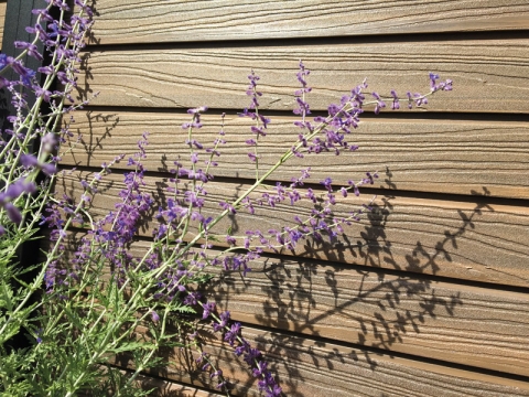 Elephant Steckzaun Set Rhombus WPC Ipe braun co-extrudiert 180x178cm Leisten Schwarz