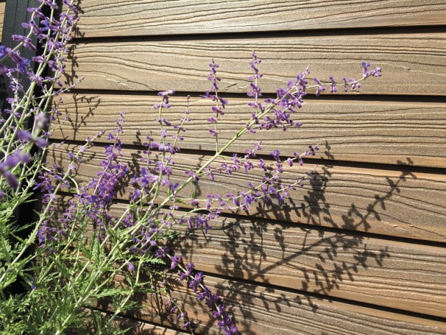 Elephant Steckzaun Set Rhombus WPC Ipe braun co-extrudiert 180x178cm Leisten Schwarz