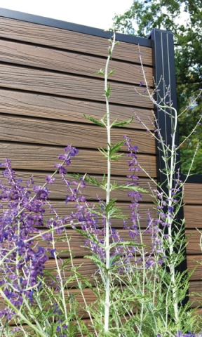 Elephant Steckzaun Set Rhombus WPC Ipe braun co-extrudiert 180x178cm Leisten Schwarz