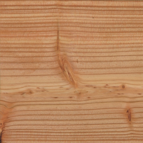 Osmo Sumatra Tor DIN links L&auml;rche 98x179 ohne Beschlag