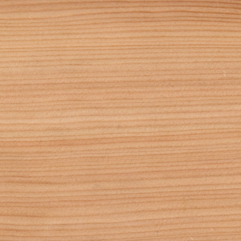 Osmo Schallschutz Forsdal Tor reflektierend 98x205 cm L&auml;rche Universalanschlag