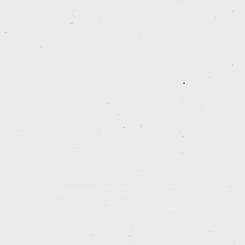 Groja BasicLine Steckzaun Premium Universal Tor 100x180cm Wei&szlig; DB703