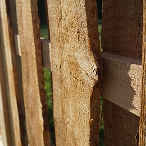 Tor Ponderosa L&auml;rche 180x100cm